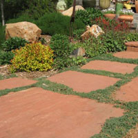 landscaper designs